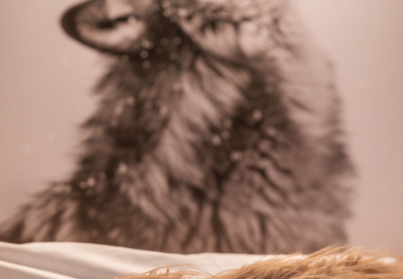 Appartement à L'Alpe d'Huez - La Biche