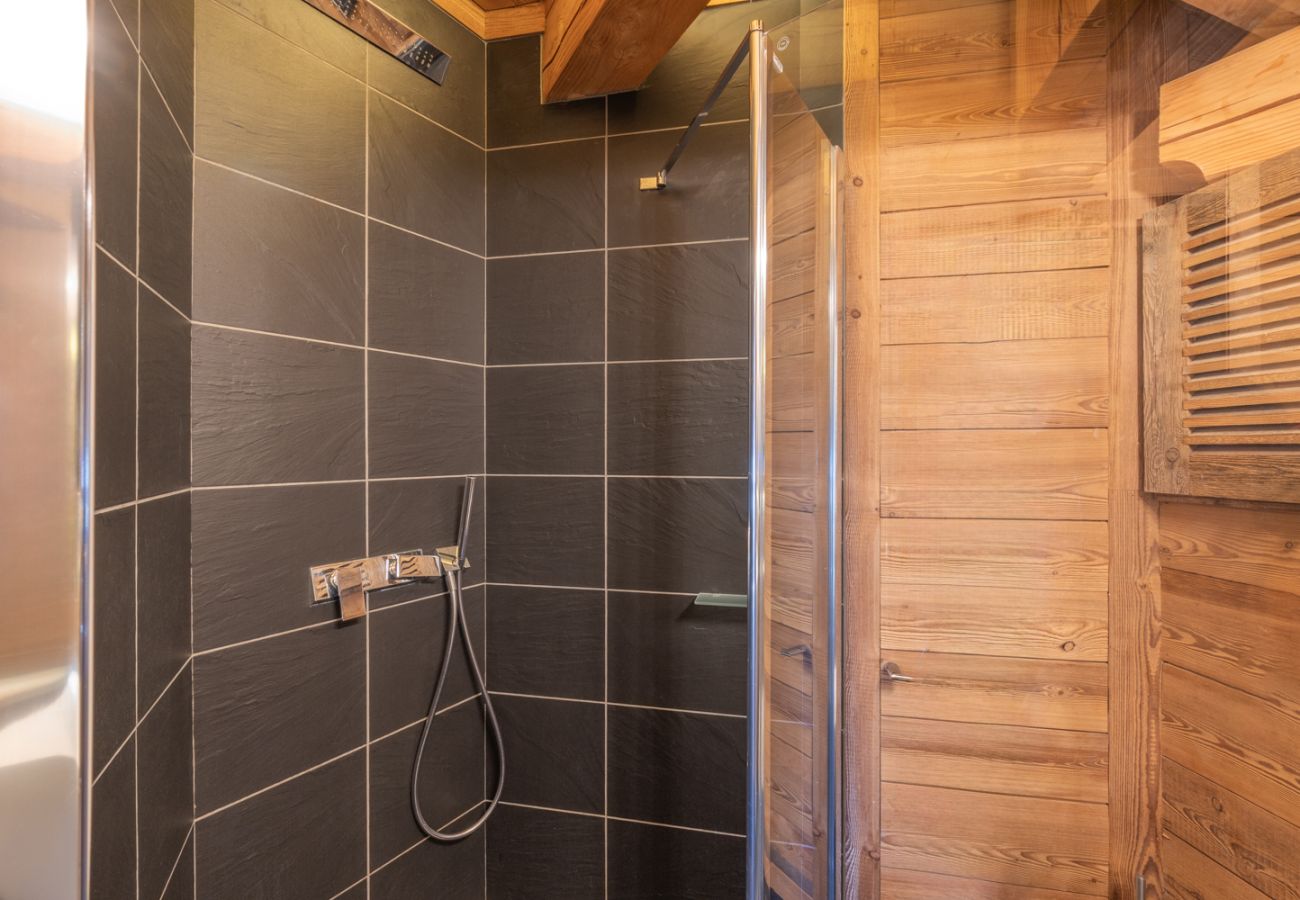 Chalet à L'Alpe d'Huez - Rêve d'Hiver