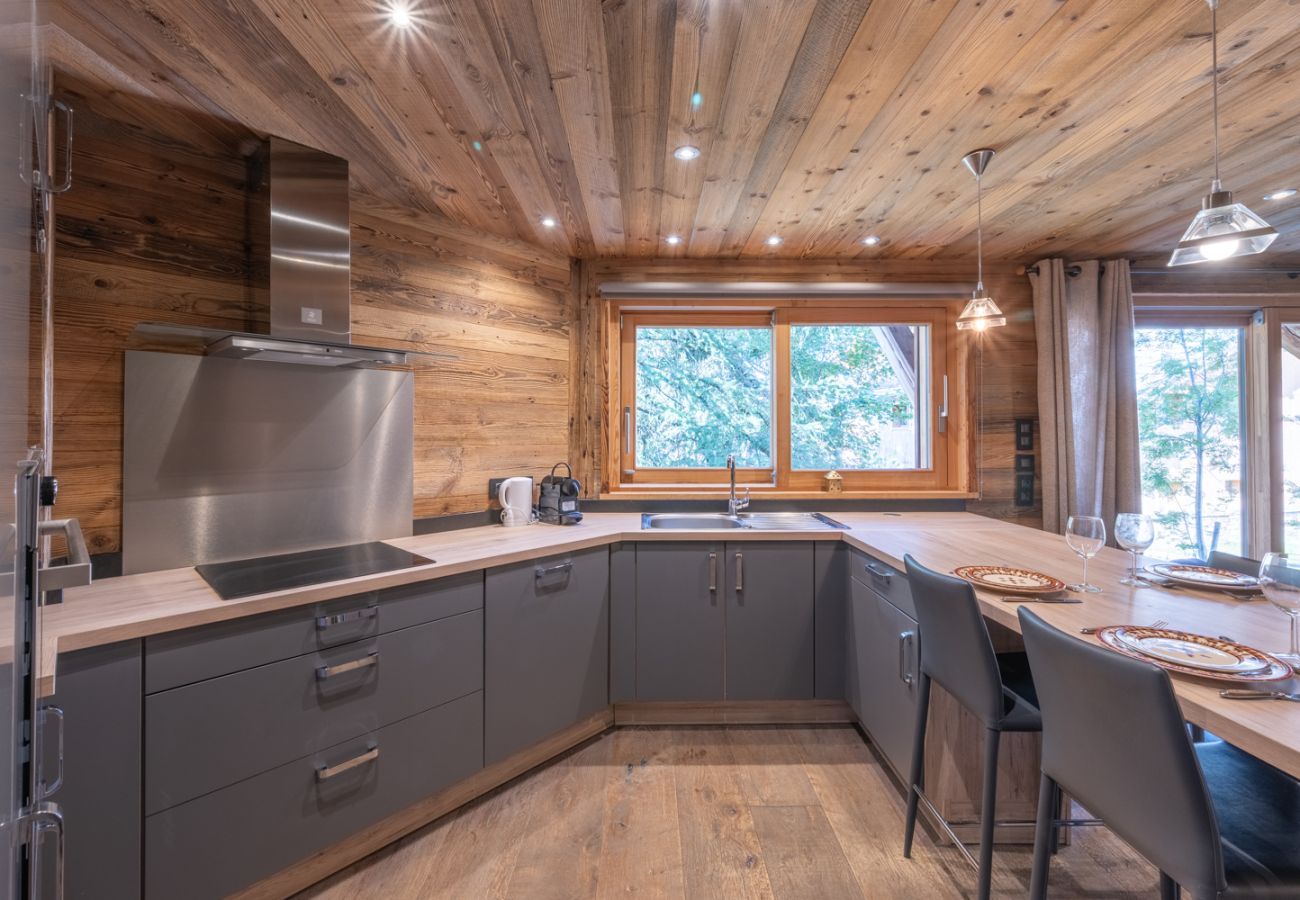 Chalet à L'Alpe d'Huez - Rêve d'Hiver
